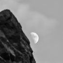 벌마들로 이미지