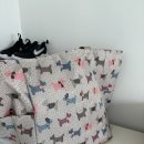 드림키소아청소년과의원 | 1차 영유아검진, BCG 경피용 / 청주 드림소아청소년과