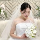 마리스포사앤아뜰리에레이나 이미지