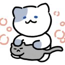 흰백