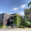 자연사박물관우석헌 이미지