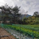 퇴촌부동산공인중개사사무소 이미지