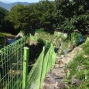 종관농장 | 2014년 추석 전날 동생 종열이와 함께한 치술령 산행