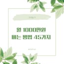 [갓생일기 73일] 월 1000만원 버는 방법 45가지