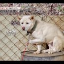 데레사솔루션 이미지