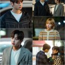 사랑스럽개 이미지