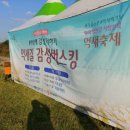 영산강서창들녘억새길 이미지