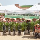 상곡초교 이미지