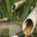 바람이지나간자리 이미지