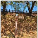 동읍497 | 정병산(☞269, 566m)(2023년 10월 15일)::낙남정맥