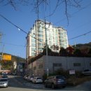 01-101 동구 이미지