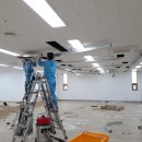 마디튼튼연합의원 이미지