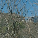 경상도우회기념회장 암각 이미지