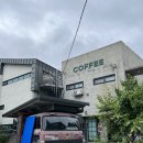 모안펜션 | 강릉 안목 해변 근처 이색 카페 &lt;피그놀리아 카페&gt;