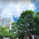 군청앞 창의건축사 앞 | 대한민국 빅3(희림,해안,ANU·삼우) 건축사가 모두 한자리에? 목동5단지 재건축 설계전이 ‘별들의 전쟁'