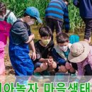 천안자연아놀자