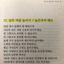 타이탄도파민
