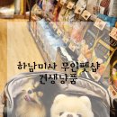 더치앤빈 미사역 그랑파사쥬 | 용품으로 간식 득템!강아지 용품 할인점 반려견 추천 — 견생냥품 24시 무인펫샵 하남미사역 그랑파사쥬점