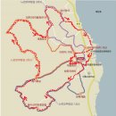 대흥 은행나무길 이미지