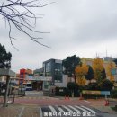 과천초등학교 정문 앞 이미지