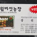 갈월버섯농장 이미지