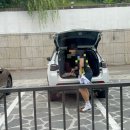 피자스톰 파주금촌점 | 8월 일상 (2)(3) l 블랙써클, 순대국밥, 경복궁 삼계탕, 아스텔, 이치젠, 왓어브레드, f1더무비, 술미홀...