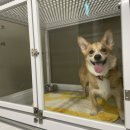 털로덮인친구들(키녹점) 이미지