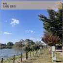 그늘막37 | [ 평택 진위천 유원지 오토캠핑장 ] 열 번 넘게 다녀온 후기, 좋은 점 아쉬운 점