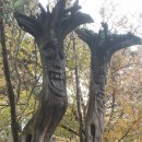 민속방아간 이미지