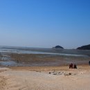 마시안어촌계