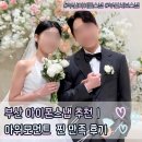 부산 아이폰스냅 추천 │ 결혼식 본식 아워모먼트 내돈내산 찐 만족 후기