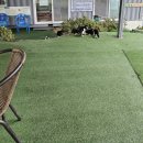 웨스트우드 영천골프 이미지