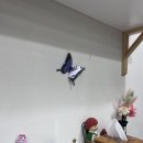 전설의육칼 - 중랑구 | 전설의육칼