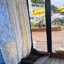 헌화로슈퍼 이미지