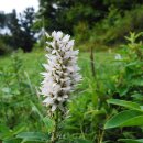 수영목장 이미지