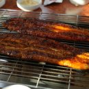섬진강민물장어 네이버블로그
