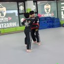 태호멀티짐 이미지