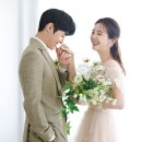 오트밀스튜디오 이미지