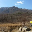 백화협동조합