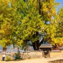 양덕동460 이미지