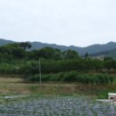 블루썬온천사우나 이미지