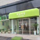 바담바담그린쿠키