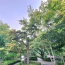 황지연못 이미지