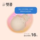 롯데하이마트(주) 건대입구지점 | 메리왁싱 건대점 출산10일 전 브라질리언 왁싱 제왕절개 출산준비