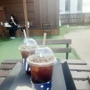 꼬리살랑 이미지