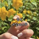 네일바이뚜(Nail by DDU) | 송도신도시네일 추천 네일바이뚜 4월 이달의아트 후기
