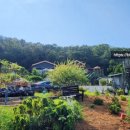 볼소리 펜션 이미지