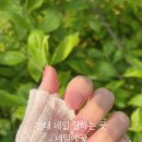 네일에땅