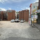 힘짱민물장어 이미지