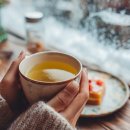 뽑기쉼터 이미지